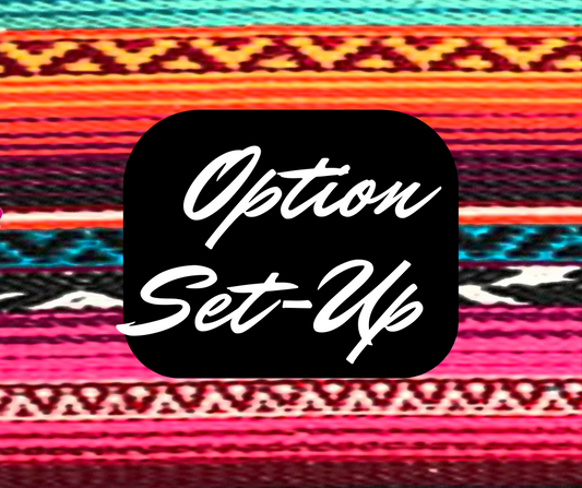 Option Set Up { Add-On for Web Services}